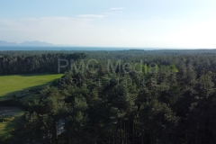 Newborough Forest from the air