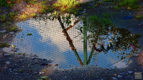 The sky reflected in a puddle