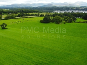 A beautiful green field on the Isle of Anglesey, North Wales