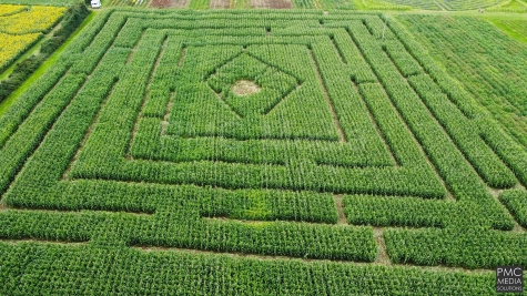 A maize maze on the Isle of Anglesey