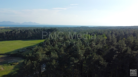 Newborough Forest from the air