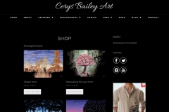 Cerys-Bailey-Art-Website-Shop-2