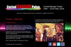 Curiad-Bangor-Pulse-2016-Website-1-2024-1800